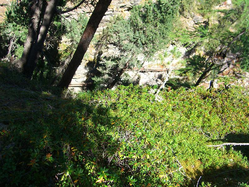 Gornerschlucht 2006 063 